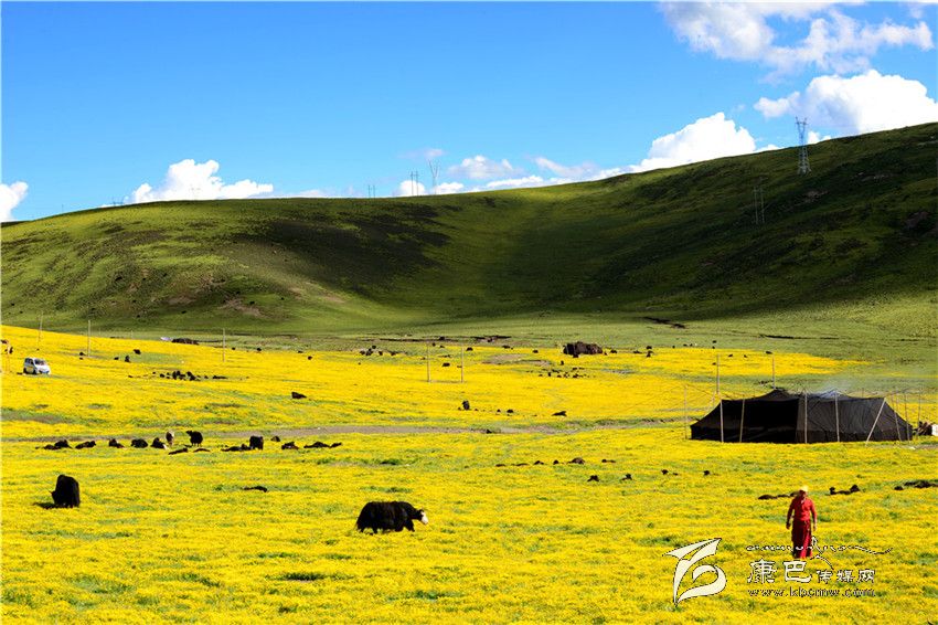 風(fēng)光類優(yōu)秀獎（中）
