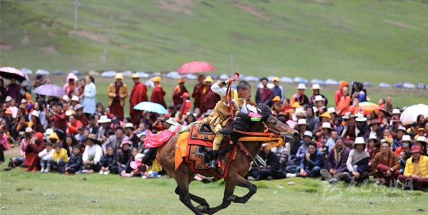 格?；ㄊ㈤_(kāi) 牧民馬背上一顯身手