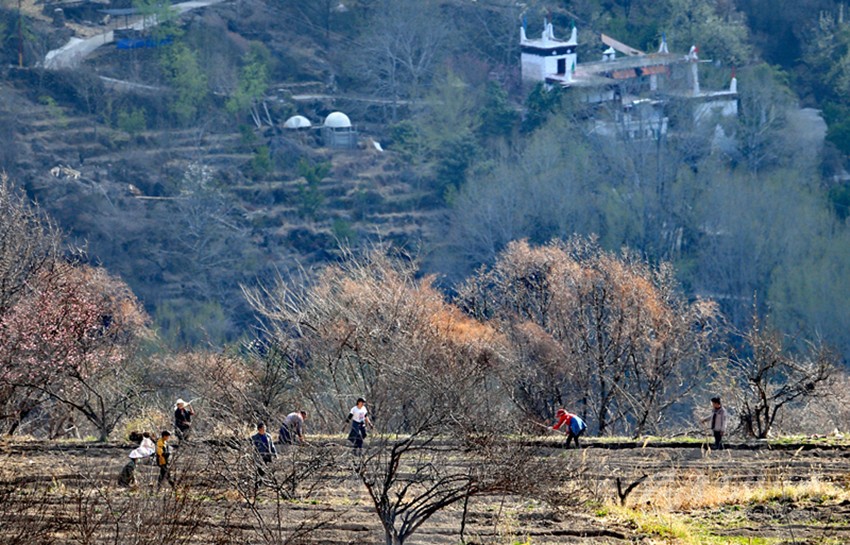 鉚足“?！眲鸥髅? onload=