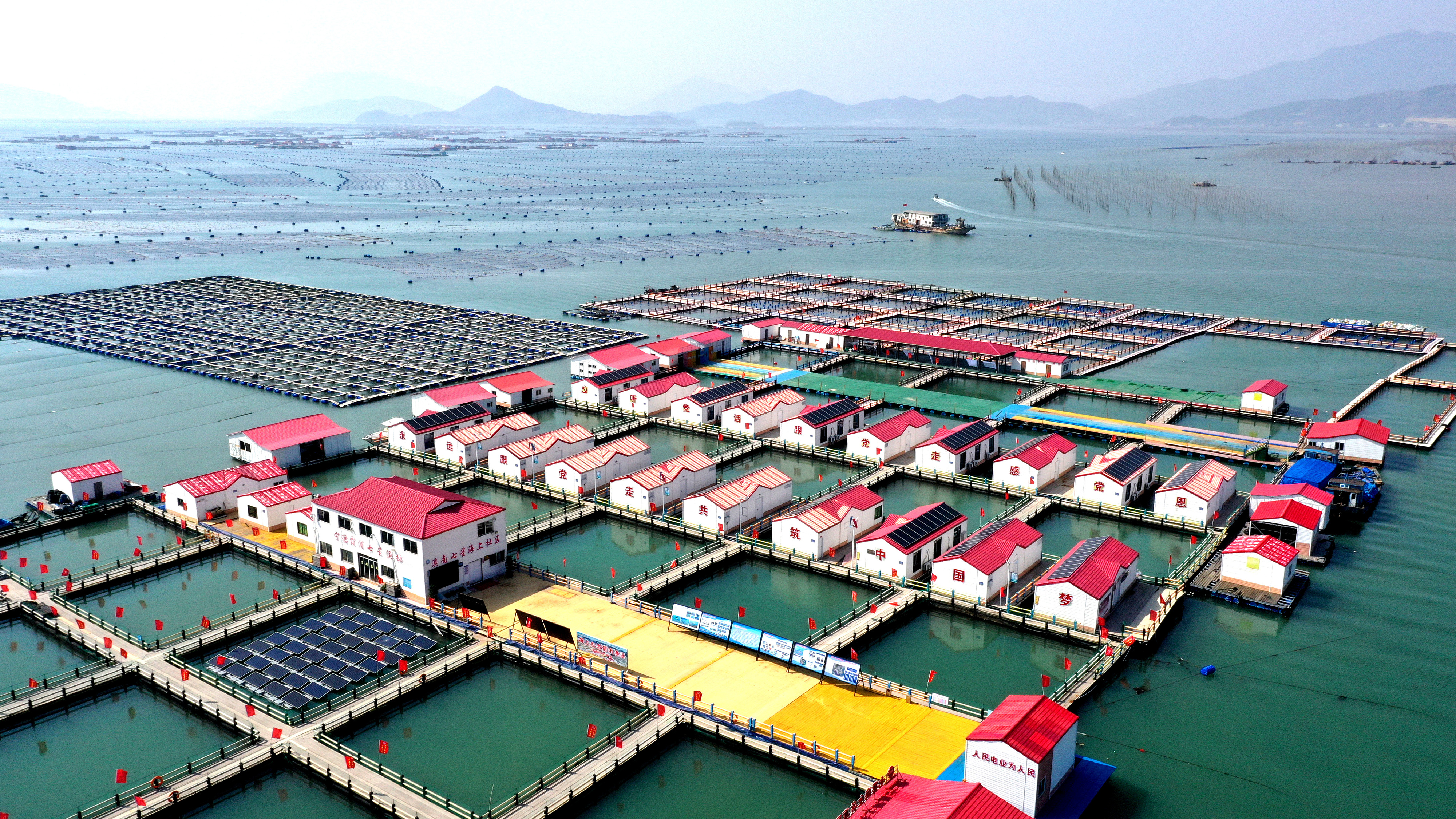 2024年3月20日，福建省寧德市，霞浦縣溪南鎮(zhèn)七星村漁排養(yǎng)殖示范區(qū)，漁民駕駛養(yǎng)殖船進行海參養(yǎng)殖作業(yè)。